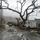 Trees stand barren and debris lays on the roadside on the island of Tortola, in the British Virgin Islands. (Image: AP)